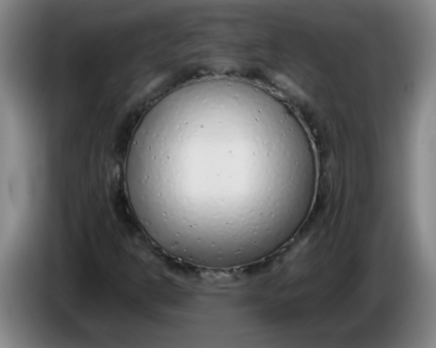 X0000085211302200703301633