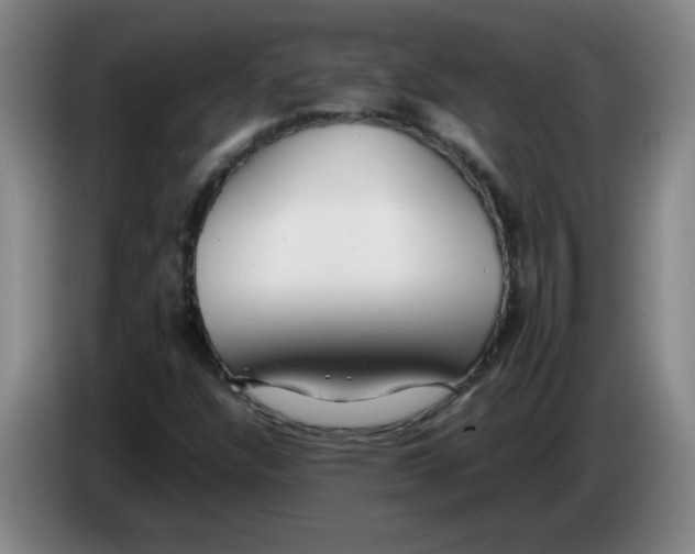 X0000085211304200703301633