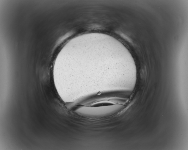 X0000085211309200703301633