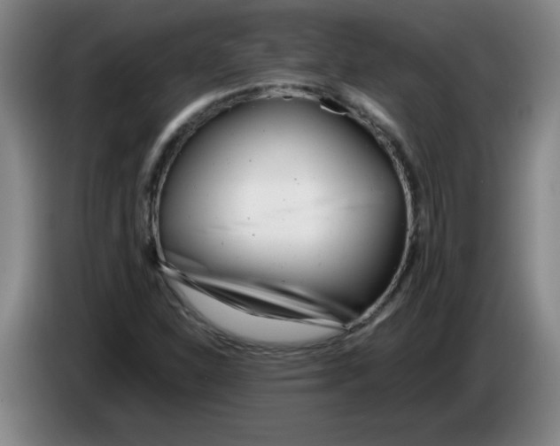 X0000085211310200703301633