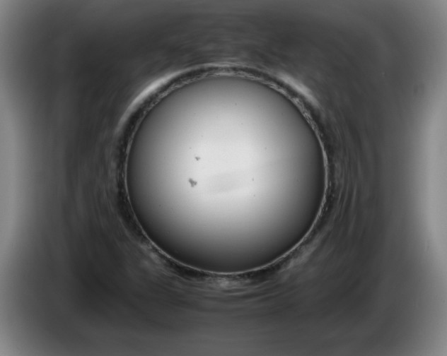 X0000085211311200703301633