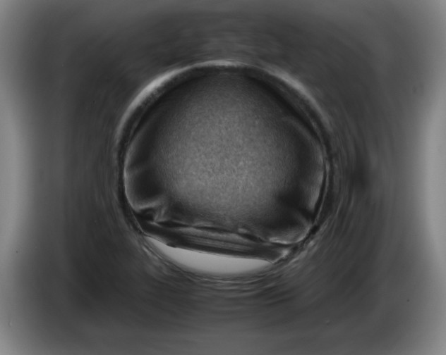 X0000085211319200703301633