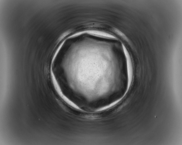 X0000085211321200703301633