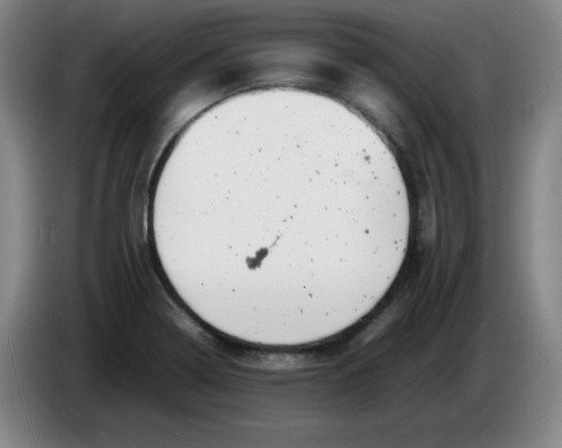 X0000085211322200703301633