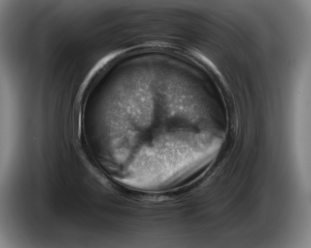 X0000085211323200703301633