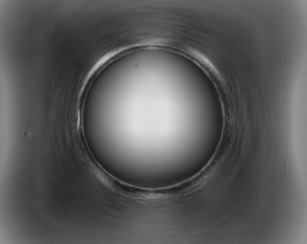 X0000085211324200703301633