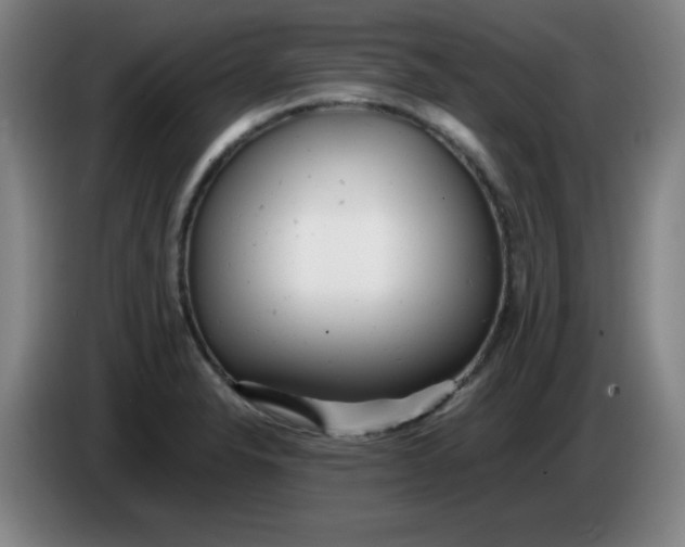 X0000085211326200703301633