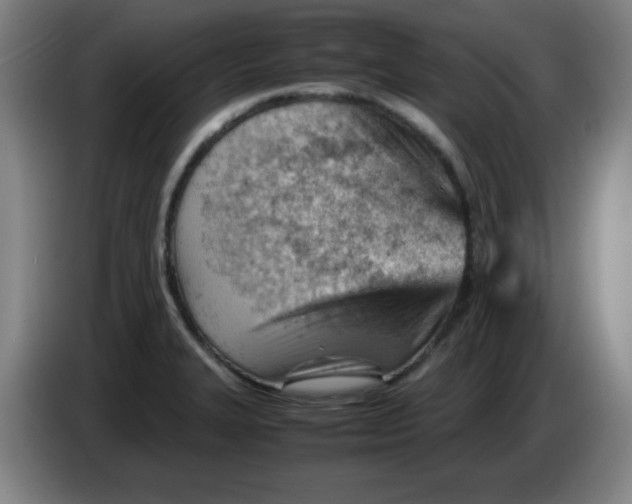 X0000085211327200703301633