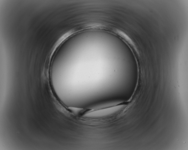 X0000085211330200703301633