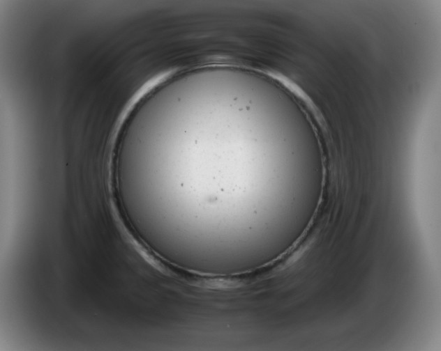 X0000085211333200703301633