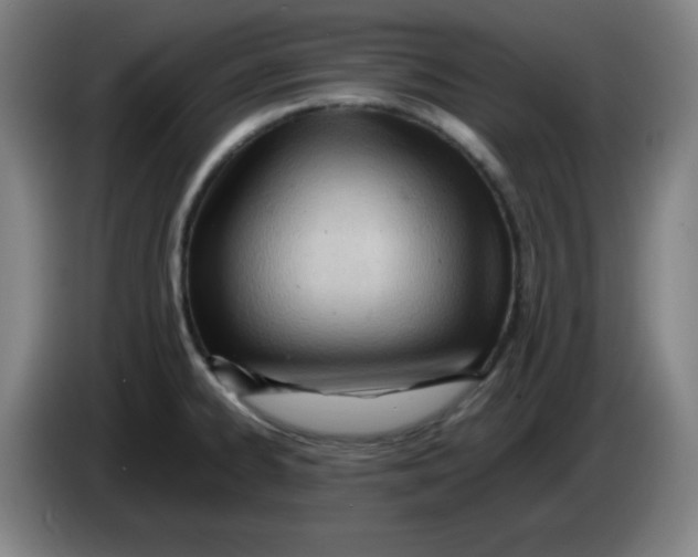 X0000085211334200703301633