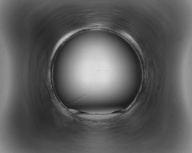 X0000085211336200703301633