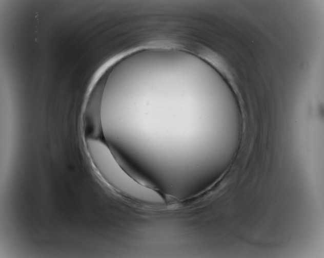 X0000085211344200703301633