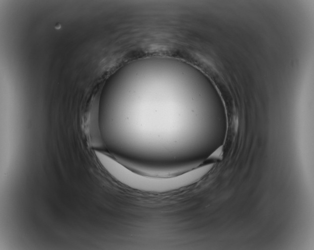 X0000085211348200703301632