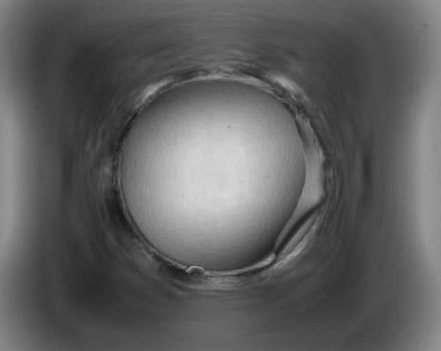 X0000085211353200703301632