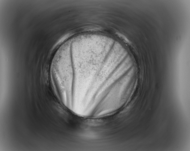 X0000085211354200703301632