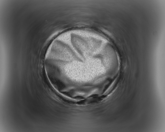 X0000085211355200703301632