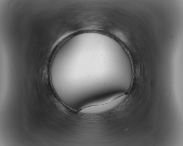 X0000085211356200703301632