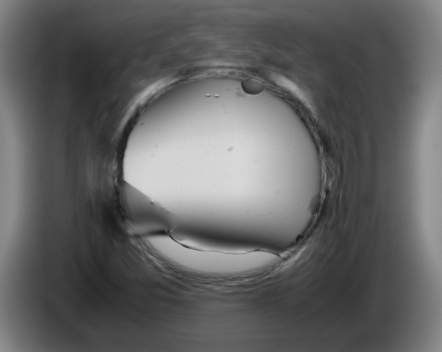 X0000085211357200703301632