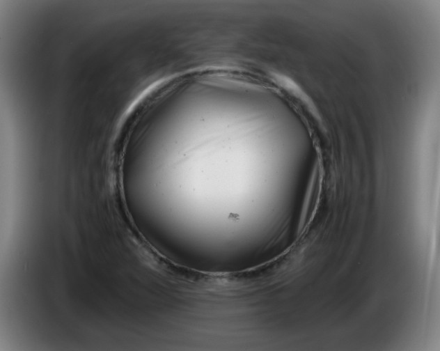 X0000085211360200703301632