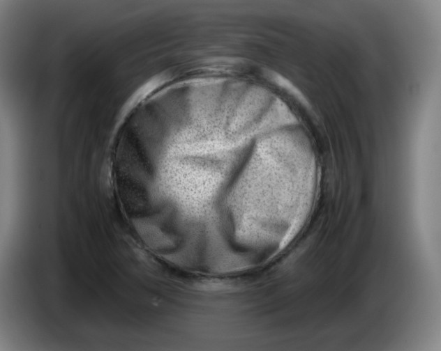 X0000085211362200703301632