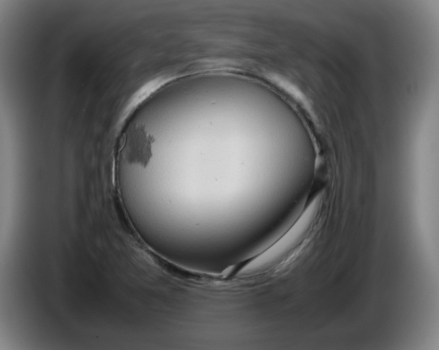 X0000085211365200703301632