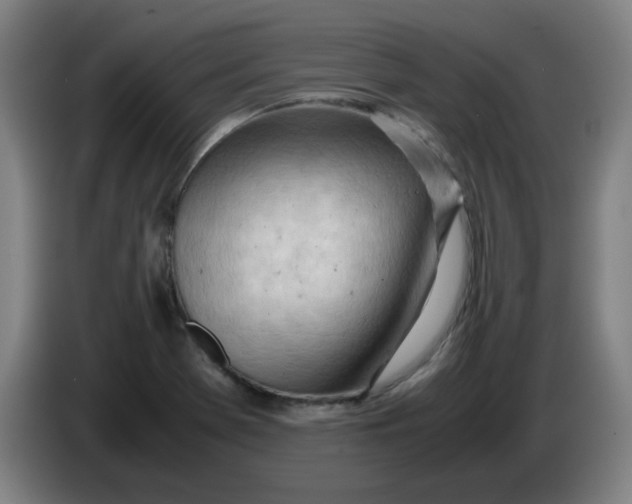 X0000085211369200703301632