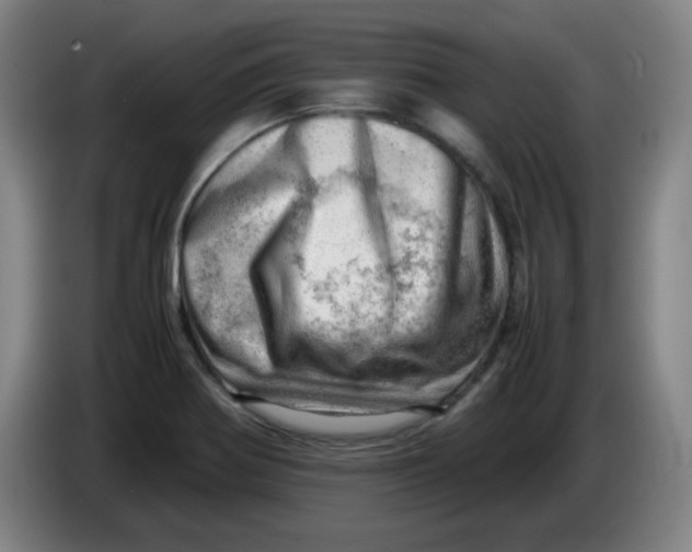 X0000085211370200703301632