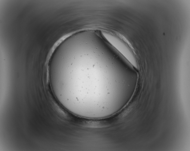 X0000085211371200703301632