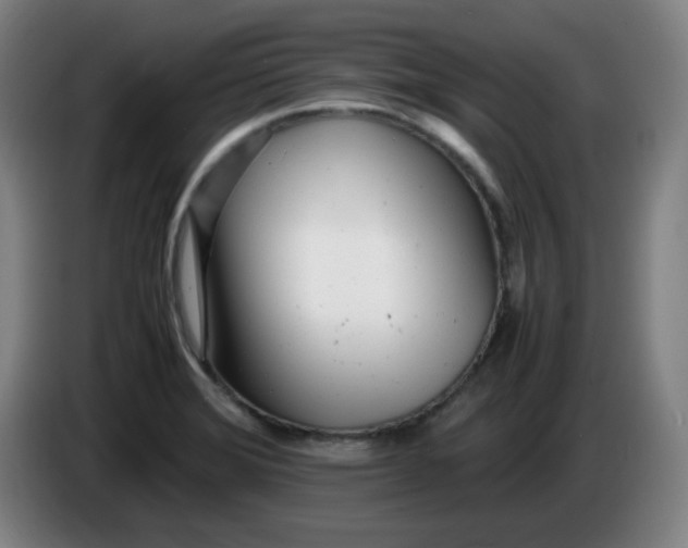 X0000085211372200703301632