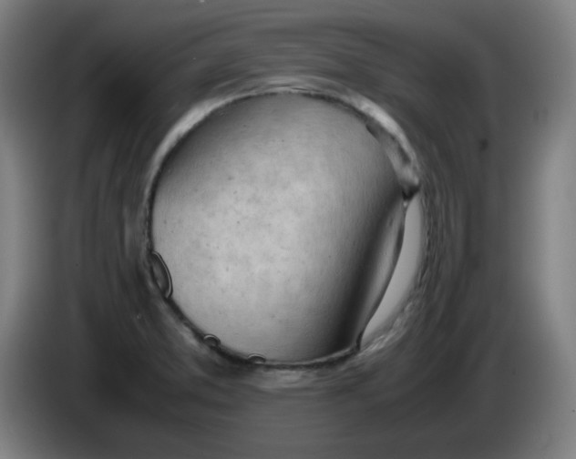 X0000085211373200703301632