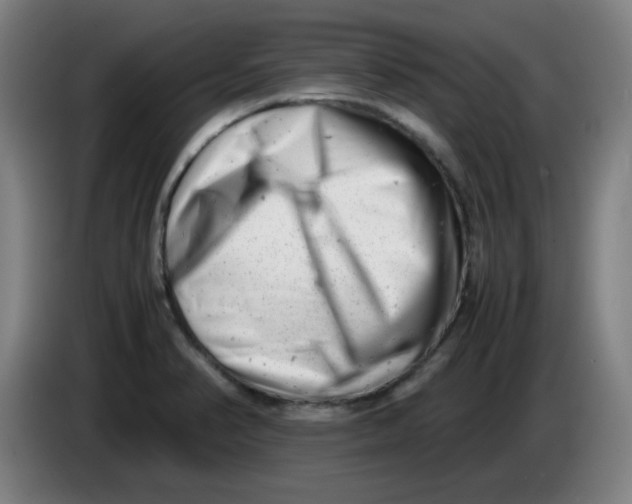 X0000085211374200703301632