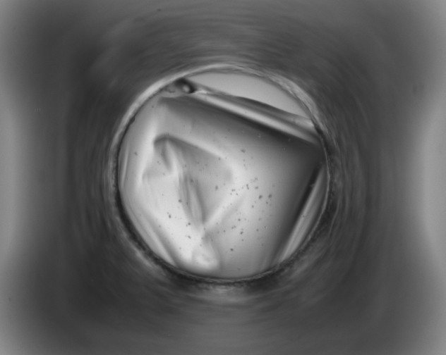 X0000085211375200703301632