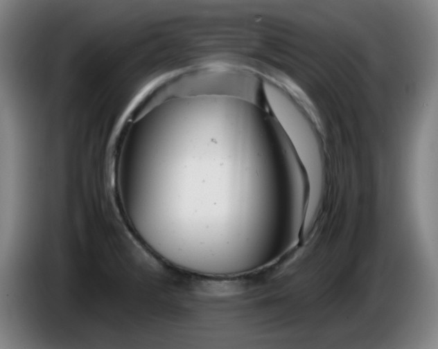 X0000085211376200703301632