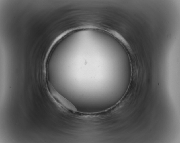 X0000085211380200703301632