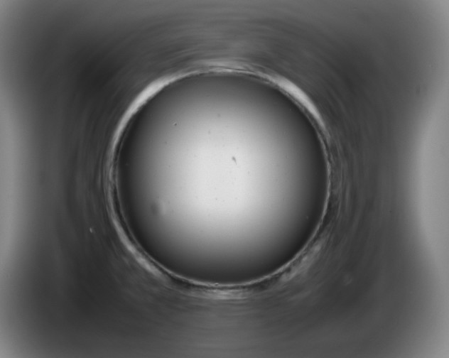 X0000085211381200703301632