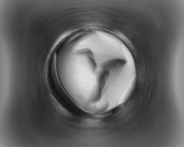 X0000085211384200703301632