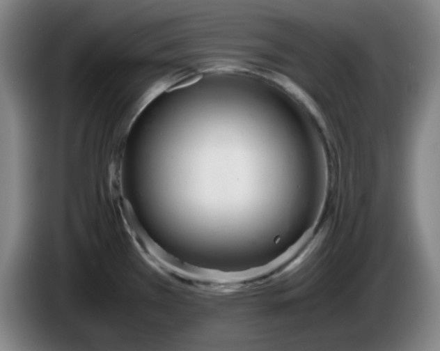 X0000085211385200703301632