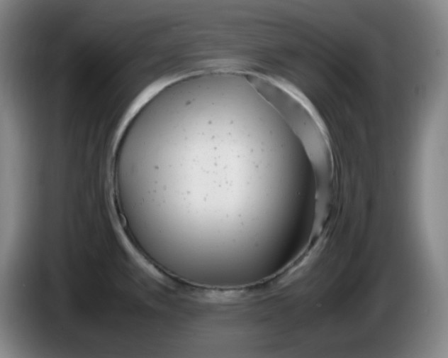 X0000085211389200703301632