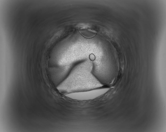 X0000085211393200703301631