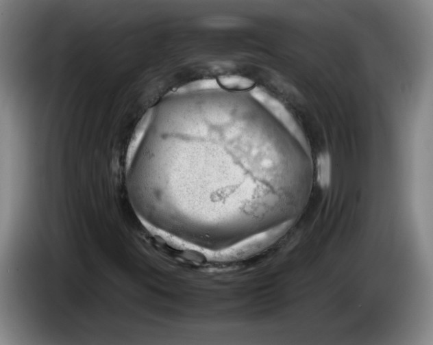 X0000085211395200703301631