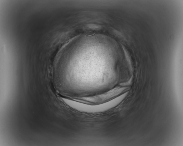 X0000085211397200703301631