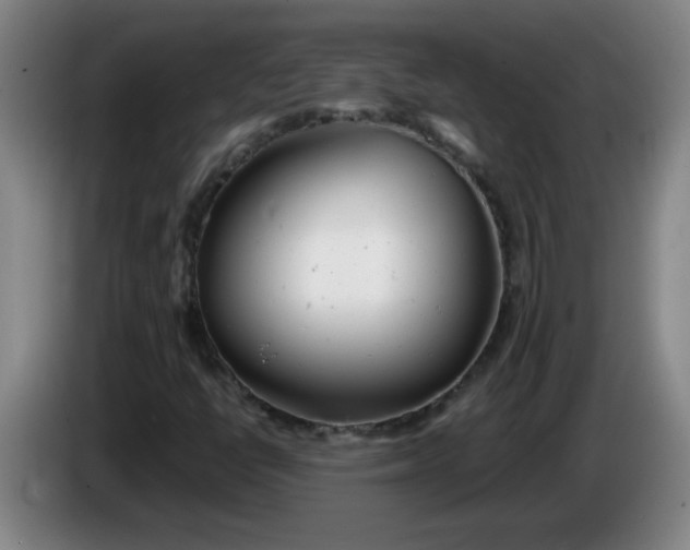 X0000085211398200703301631