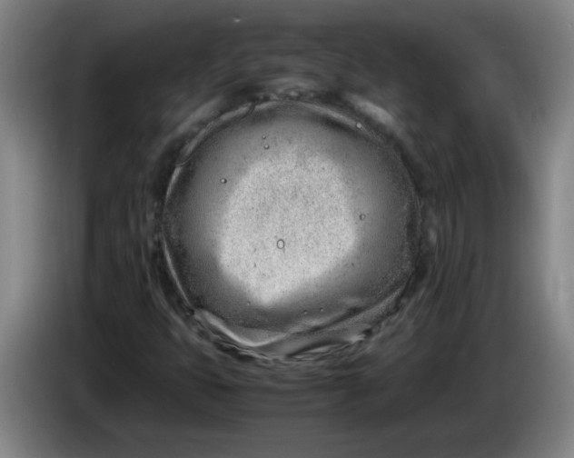 X0000085211399200703301631