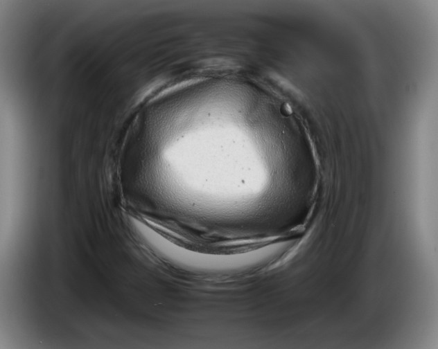 X0000085211401200703301631