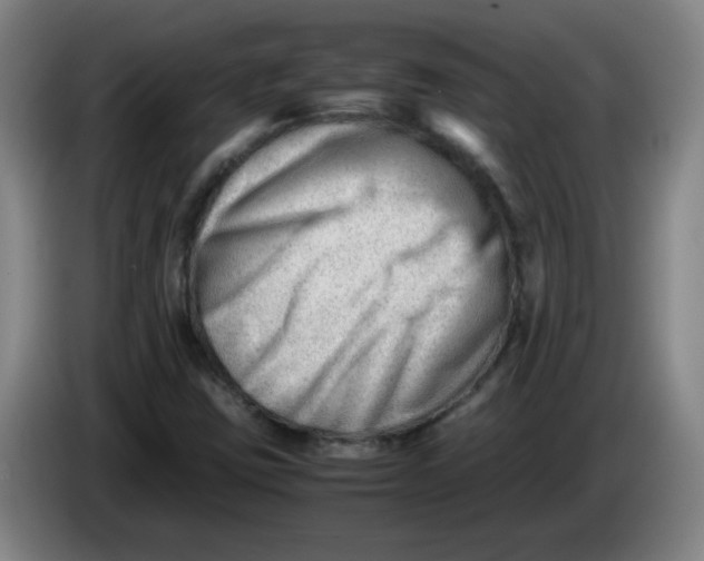 X0000085211403200703301631