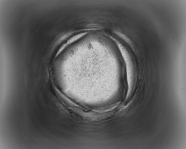 X0000085211407200703301631