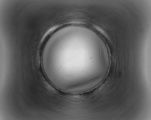 X0000085211408200703301631