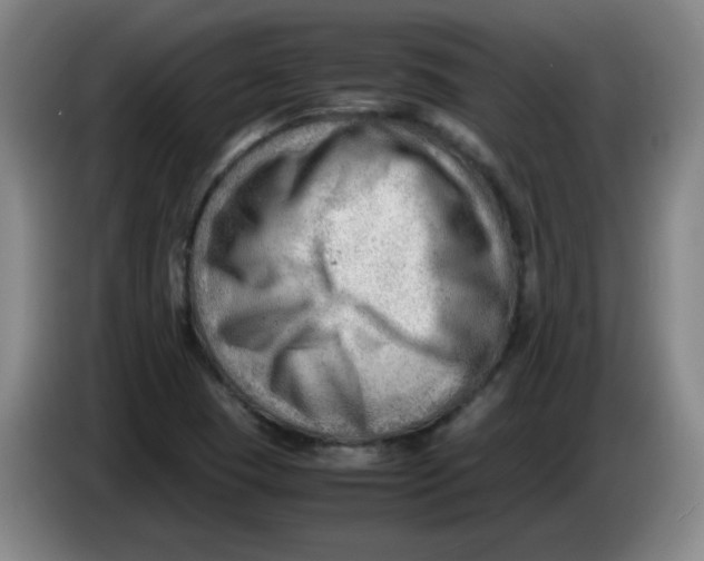 X0000085211409200703301631