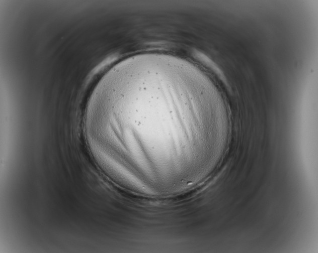 X0000085211411200703301631